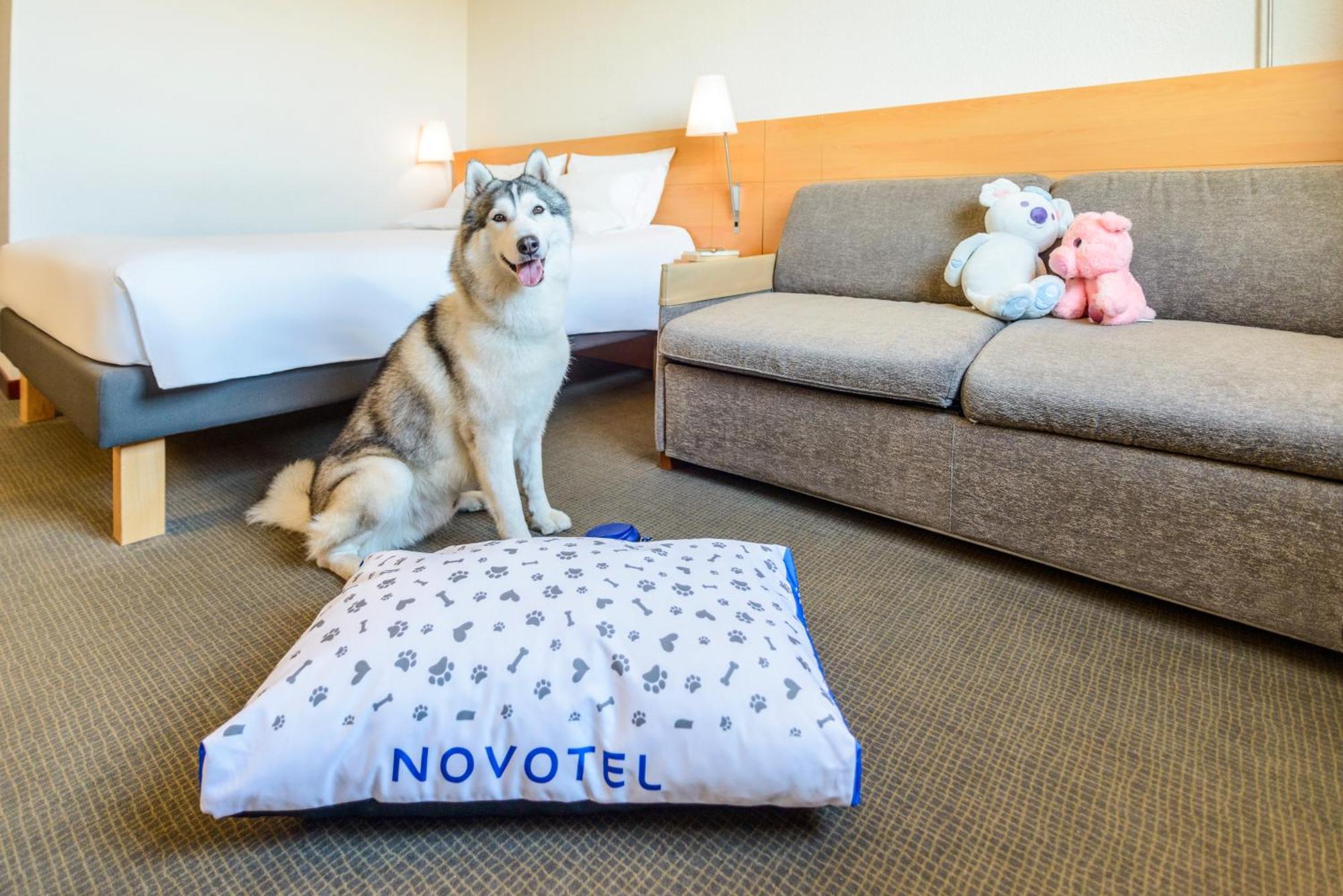 Novotel Torino Corso Giulio Cesare Bagian luar foto